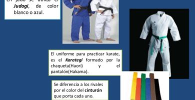que es mejor karate judo o taekwondo