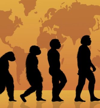 ¿Diferencia entre Evolución y Adaptación? Te lo explicamos todo