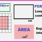 ¿Cuál es la Diferencia entre Área y Perímetro? Te lo explicamos todo