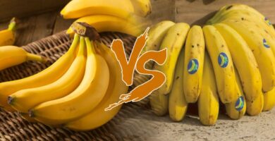 ¿Cuál es la Diferencia entre Plátano y Banana? Te lo explicamos todo