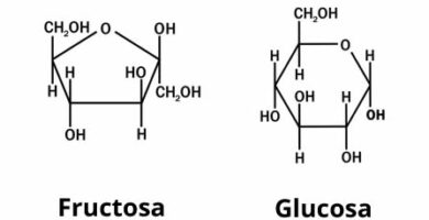 Glucosa y Fructosa explicado