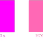 Fucsia y Hot Pink