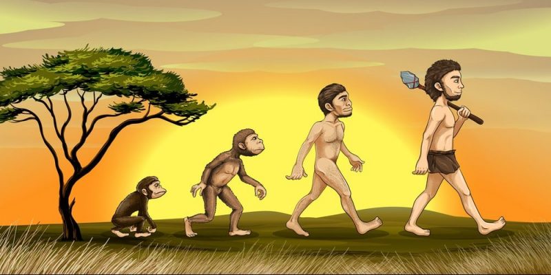 ¿Qué es Evolución?