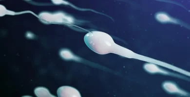 Esperma y Semen