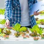 Agricultura y Horticultura