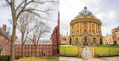 Harvard y Oxford